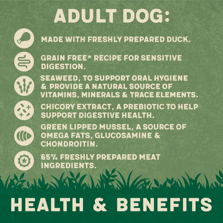 Harringtons Duck Grain Free Adult Wet Dog Food 400g