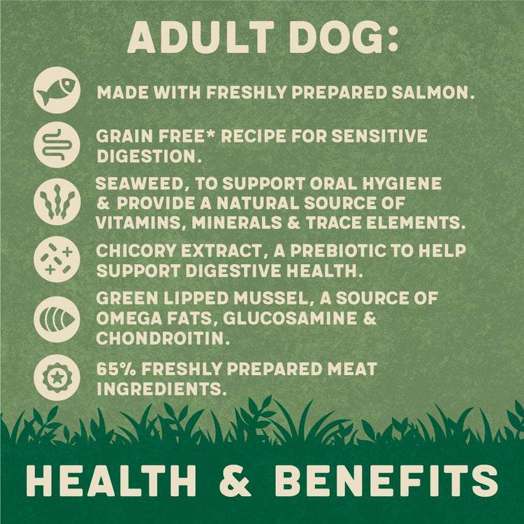 Harringtons Salmon Grain Free Adult Wet Dog Food 400g