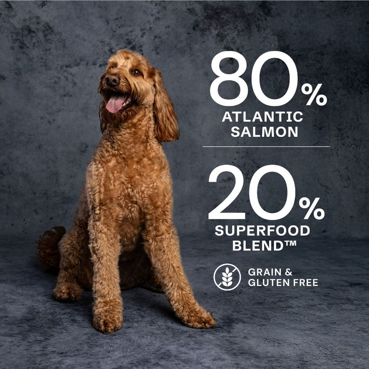 AATU Free Run Salmon Dry Dog Food