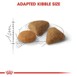 Royal Canin Exigent Savour