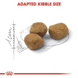 Royal Canin Indoor 7+ Years