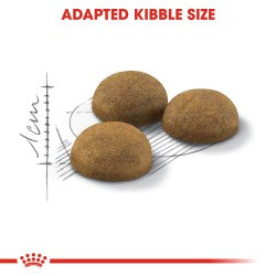 Royal Canin Indoor Long Hair 2 kg