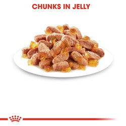 Royal Canin Kitten Jelly (Wet Food - Pouches) 12 x 85 g