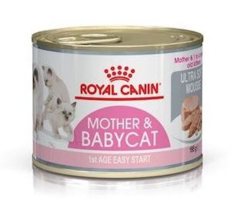 Royal Canin Mother & Babycat Mousse (Wet Food - Cans) 12 x 195 g