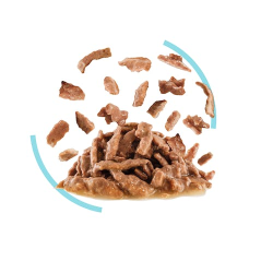 Royal Canin Sensory Feel Gravy (Wet Food - Pouches) 12 x 85 g