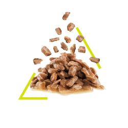 Royal Canin Sensory Smell Gravy (Wet Food - Pouches) 12 x 85 g