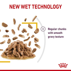 Royal Canin Sensory Taste Gravy (Wet Food - Pouches) 12 x 85 g