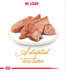 Royal Canin Persian (Wet Food - Pouches) 12 x 85 g