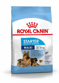 Royal Canin Maxi Starter - 15 KG