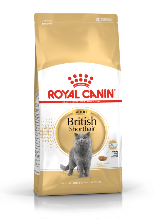 Royal Canin British Shorthair 10 kg