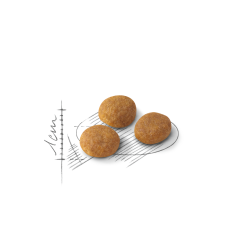 Royal Canin Exigent Aroma 2 kg