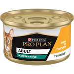 Adult Maintenance chicken terrine 85g