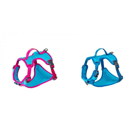 Cooling Harness for Dogs - Medium