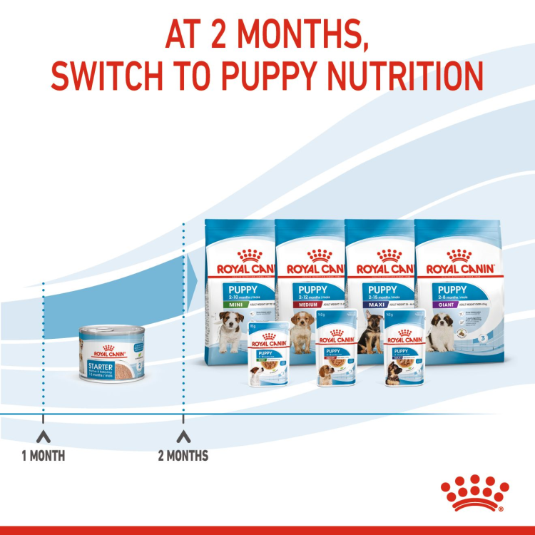 Royal Canin Starter Mouse (WET FOOD - Cans)