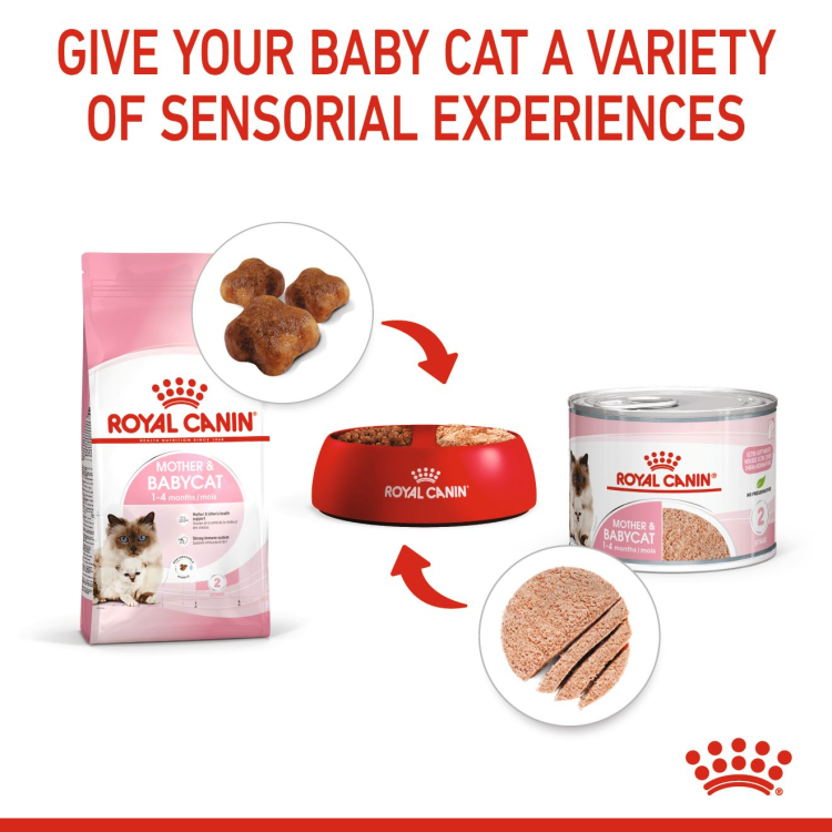 Royal Canine Mother & Babycat Mousse (WET FOOD - Cans)