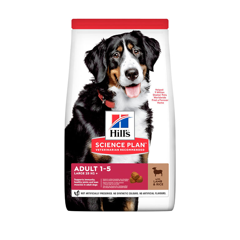 Hill’s Science Plan Large Breed Adult Dog Food With Chicken