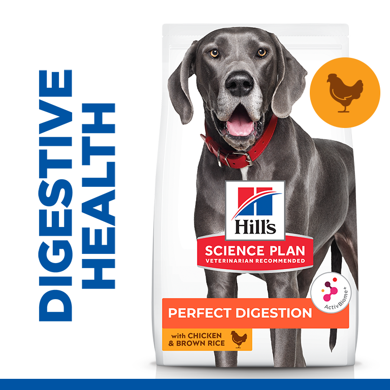 Hill’s Science Plan Perfect Digestion Large Breed Adult 1+ Dog Food With Chicken And Brown Rice (14kg)