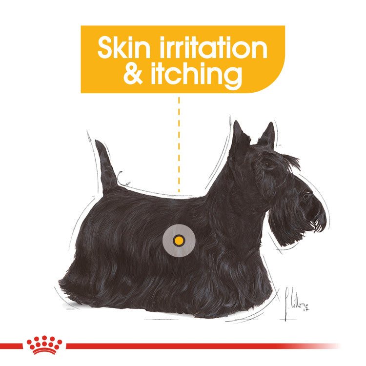 Royal Canin Dermacomfort (WET FOOD - Pouches)