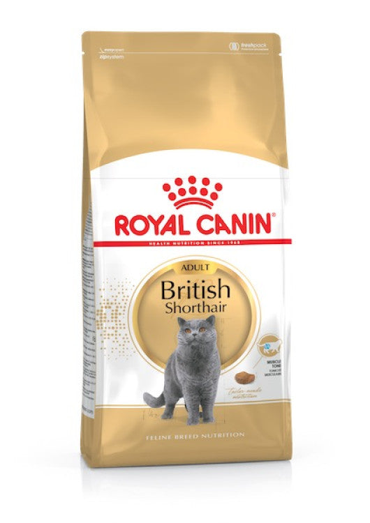 Royal Canin British Shorthair Adult 4 KG