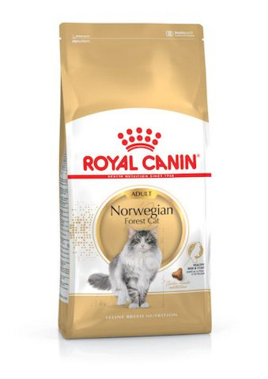 Royal Canin Norwegian Forest Cat Adult 2 KG