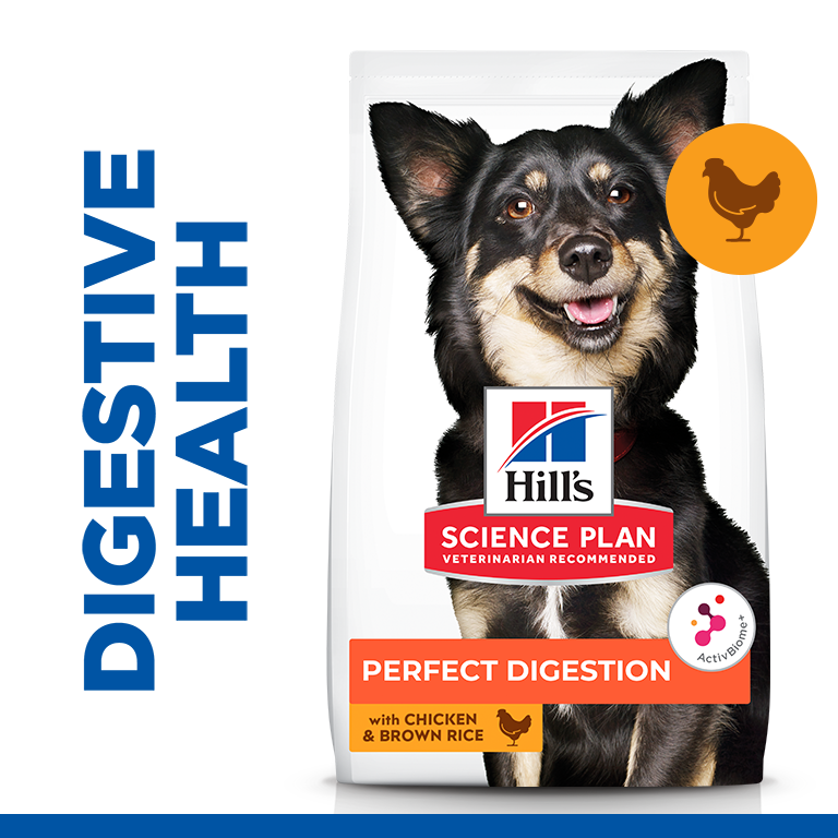 Hill’s Science Plan Perfect Digestion Small & Mini Adult 1+ Dog Food With Chicken & Brown Rice