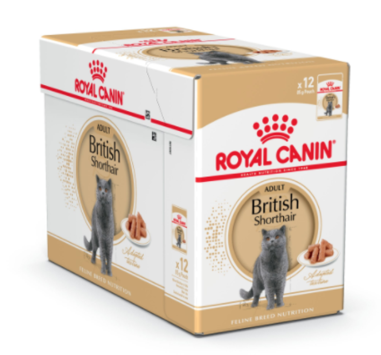 Royal Canin British Shorthair (WET FOOD - Pouches)