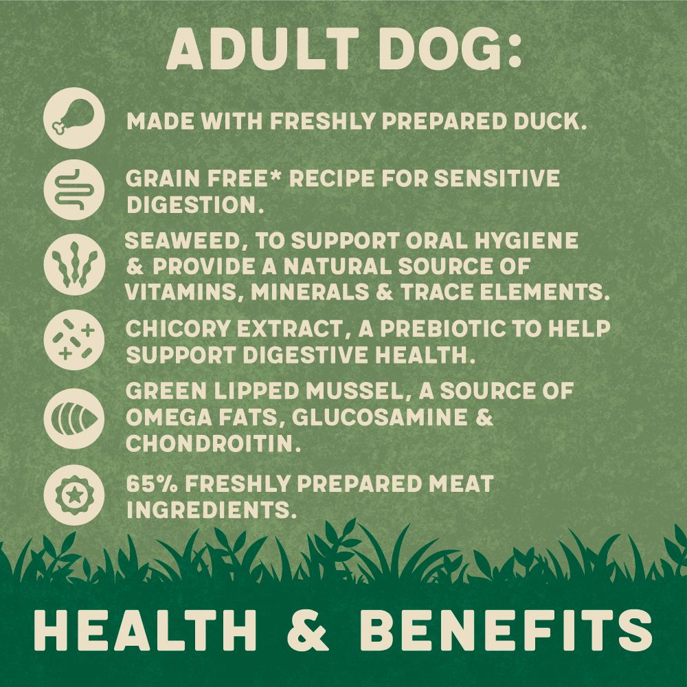 Harringtons Duck Grain Free Adult Wet Dog Food 400g