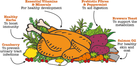 Little BigPaw British Chicken Dry Kitten Food 1.5kg