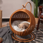 Cat Hammock