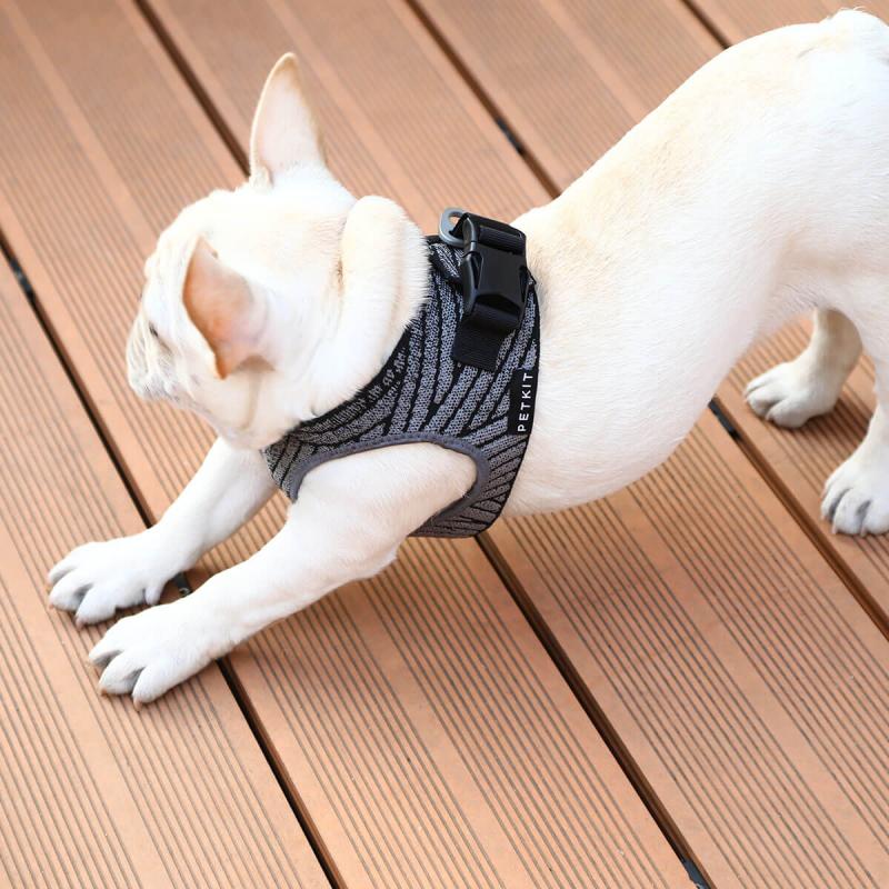 PETKIT - AIR FLY HARNESS