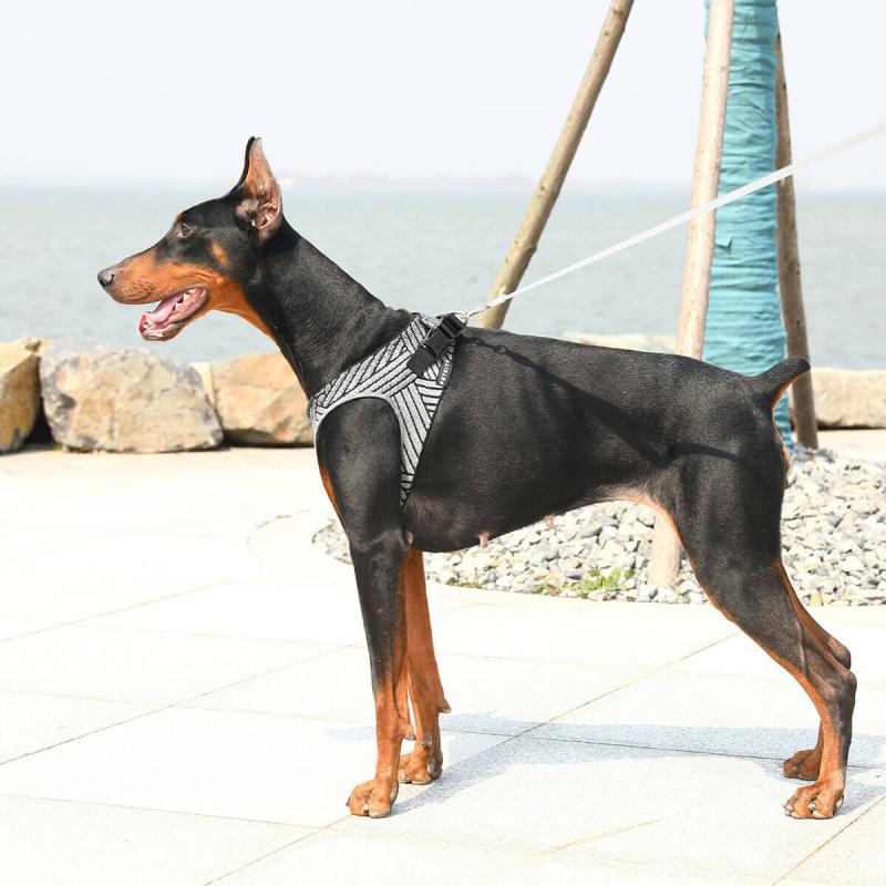 PETKIT - AIR FLY HARNESS - 0