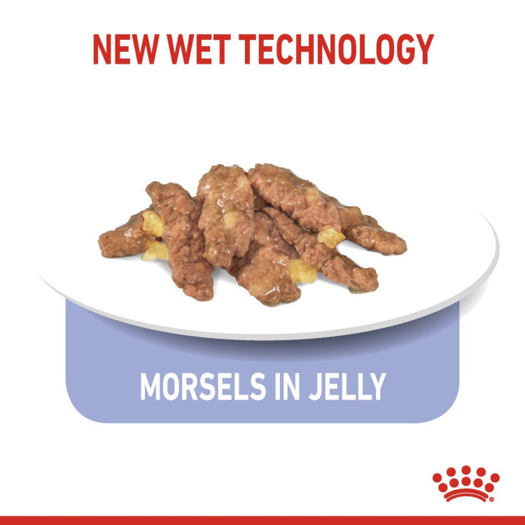 Indoor 7+ Jelly (WET FOOD - Pouches) - 0