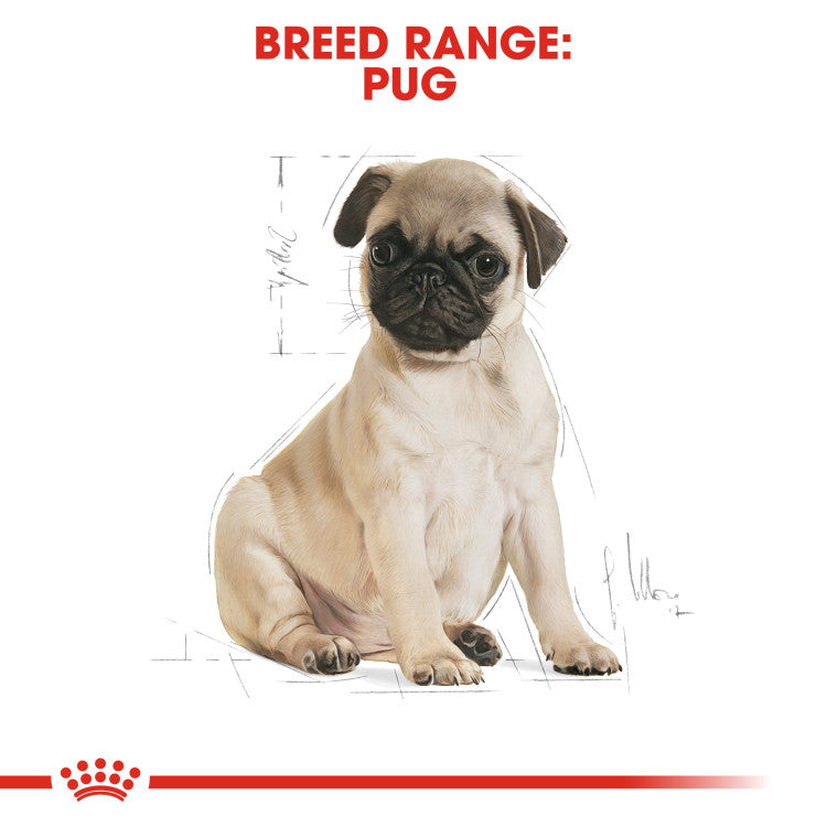 Royal Canin Pug Puppy 1.5 KG