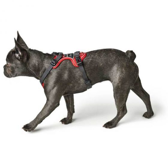 Hunter Divo Dog Harness - 0