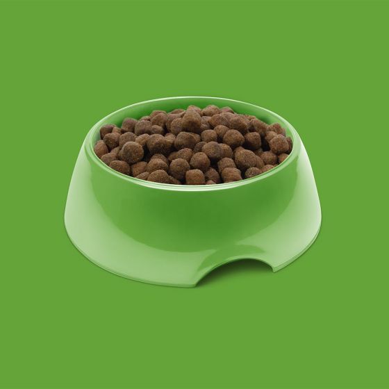 Symply Adult Fresh Lamb Dry Dog Food - 0