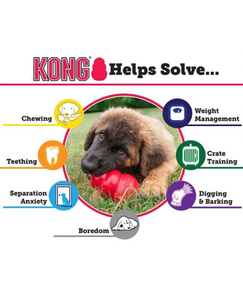 Kong Classic Dog Toy