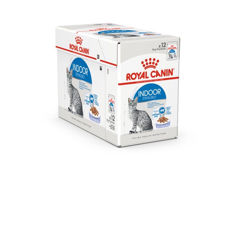 Royal Canin Indoor Jelly (WET FOOD - Pouches)