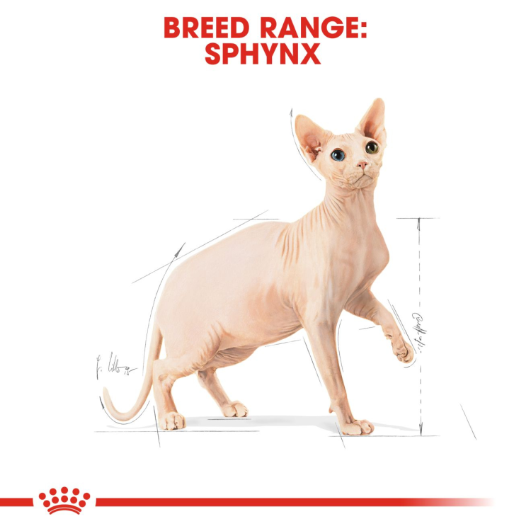 Royal Canin Sphynx 2 KG - 0