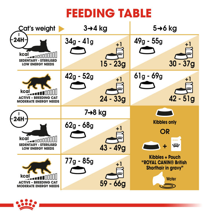 Royal Canin British Shorthair Adult 4 KG - 0