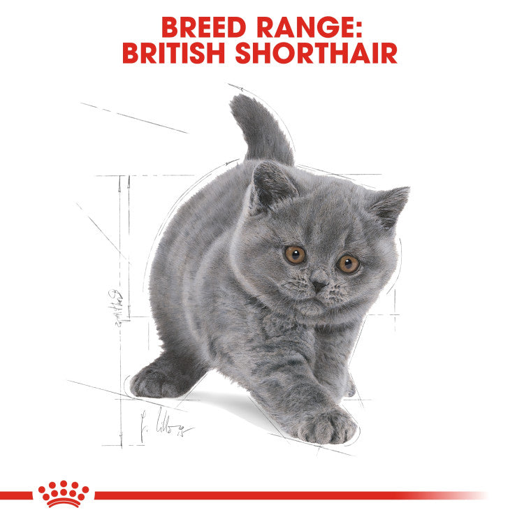 Royal Canin British Shorthair Kitten 2 KG - 0