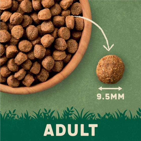 Harringtons Complete Lamb Rice Adult Dry Dog Food