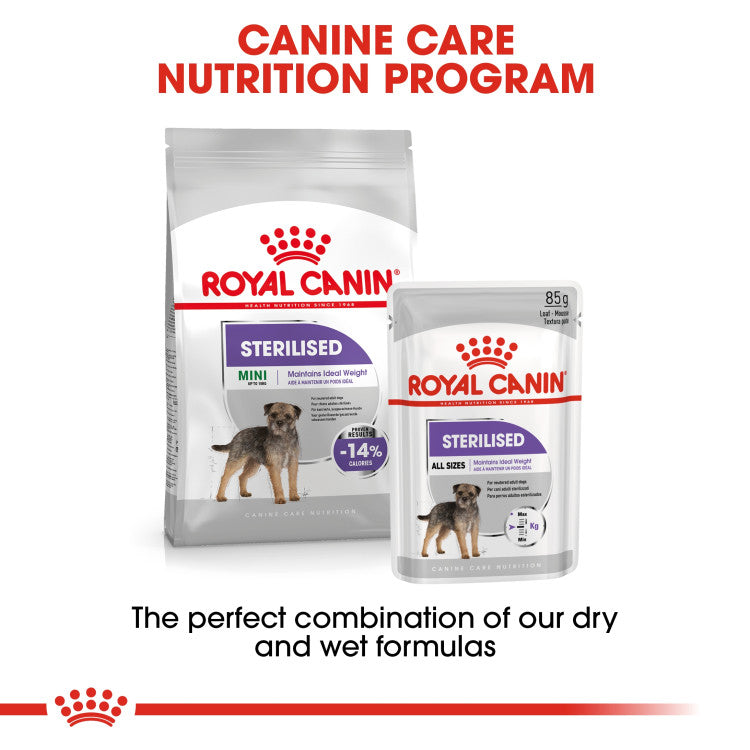 Royal Canin Mini Sterilized Adult 3 KG