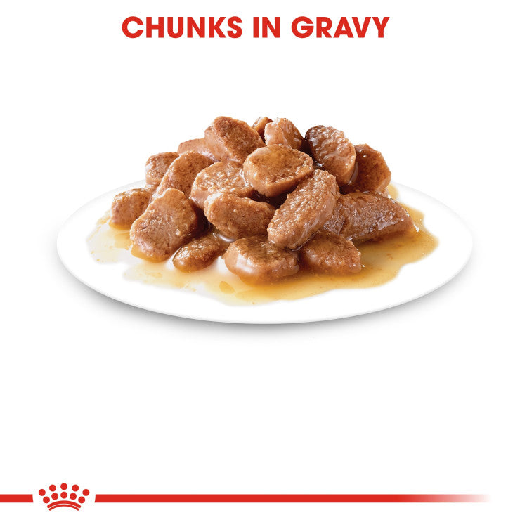 Royal Canin Hairball Gravy (WET FOOD - Pouches)