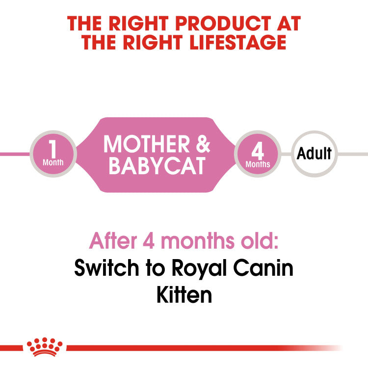 Royal Canine Mother & Babycat Mousse (WET FOOD - Cans)