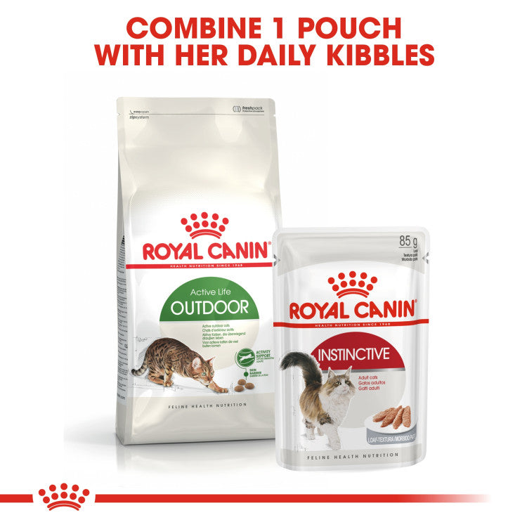 Royal Canin Outdoor 2 KG