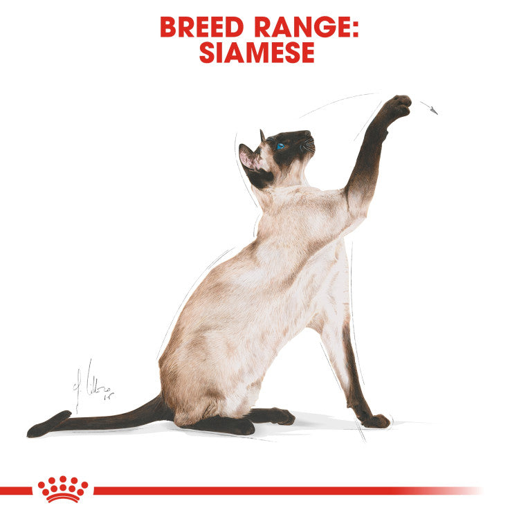 Royal Canin Siamese Adult 2 KG