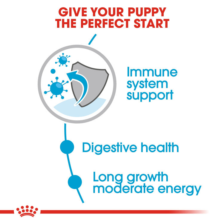 Royal Canin Maxi Puppy (WET FOOD - Pouches)