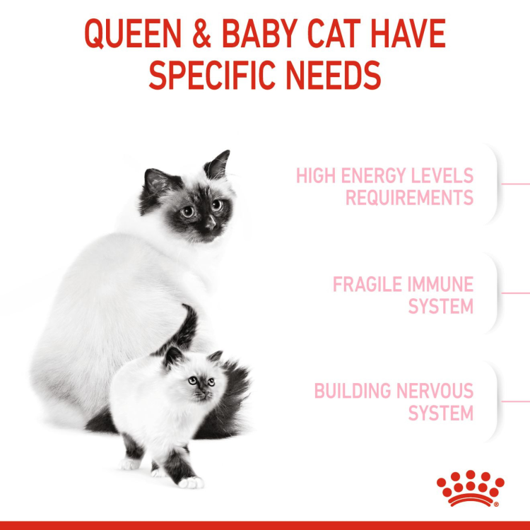 Royal Canin Mother & Babycat