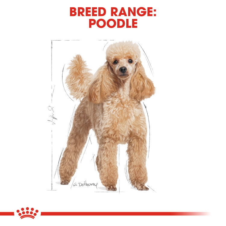 Royal Canin Poodle Adult (WET FOOD - Pouches)