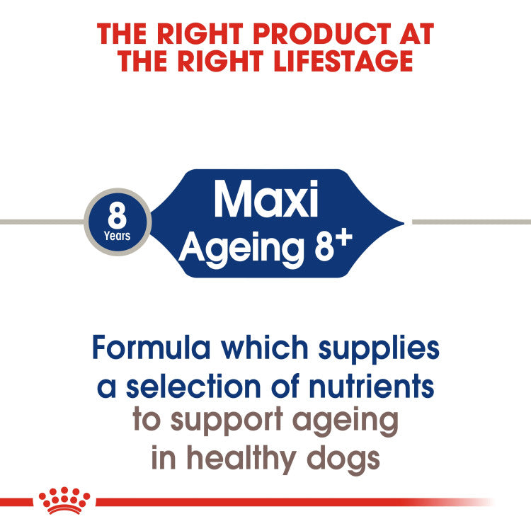 Royal Canin Maxi Ageing 8+ 15 KG